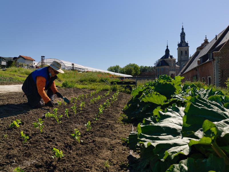 veld bioboerderij de Wikke