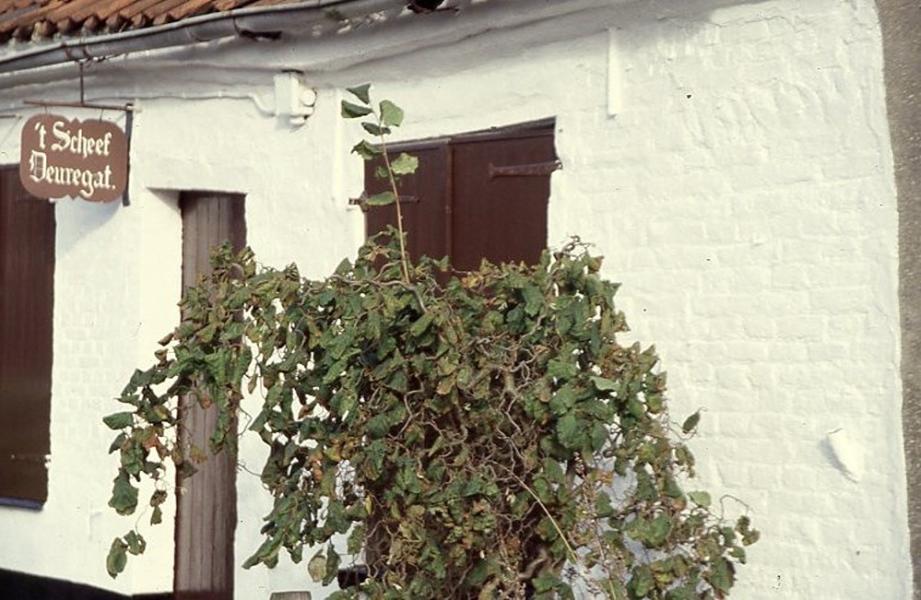 'O, dorp, waar ik geboren ben'